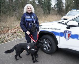 Police métropolitaine - brigade cynophiles